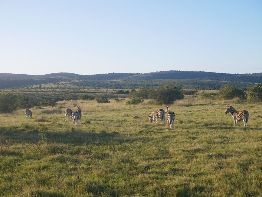 2 nights in a Private Game Reserve
