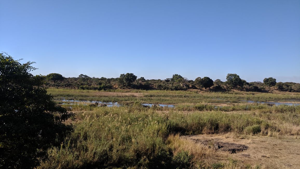 Jour 15 : Du parc Kruger à Marloth Park
