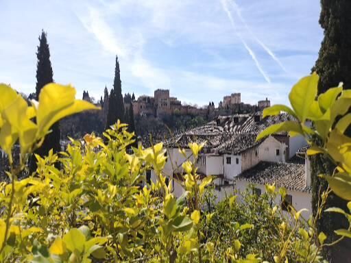 Life in Granada
