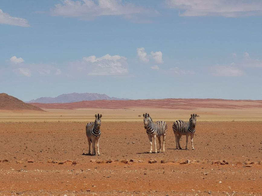 NamibRand Naturreservat und D707