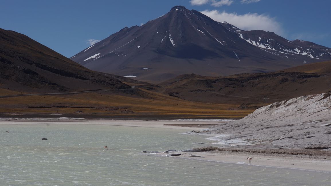 Salt lagoons high in the Andes