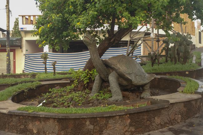 Und in Puerto Ayora sieht man dann auch noch einige Skulpturen der tierischen Vertreter. 