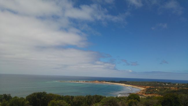 Anglesea Lookout