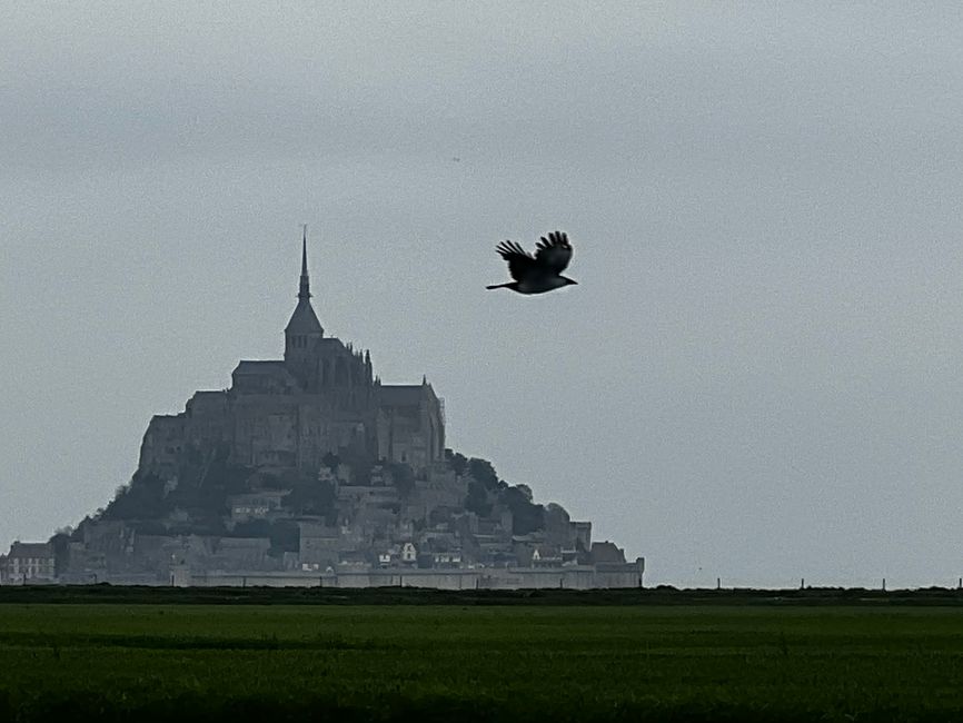Von Mt. Saint Michel in die Bretagne