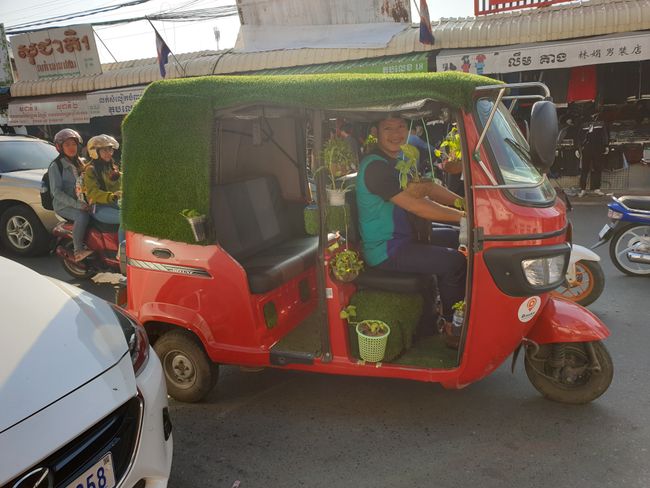 The 'I would rather be in the garden' - Tuk Tuk