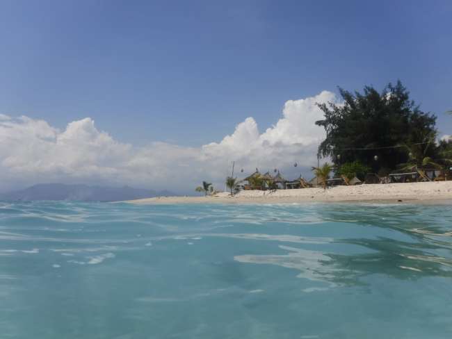 Schnorcheln im Turtle - Paradies Gili Inseln