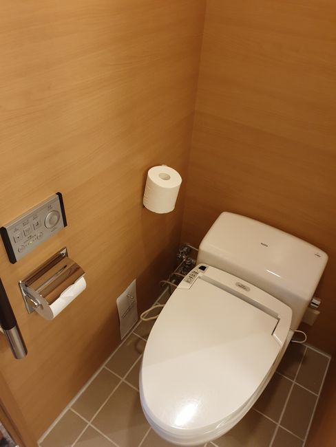 Electronic toilets