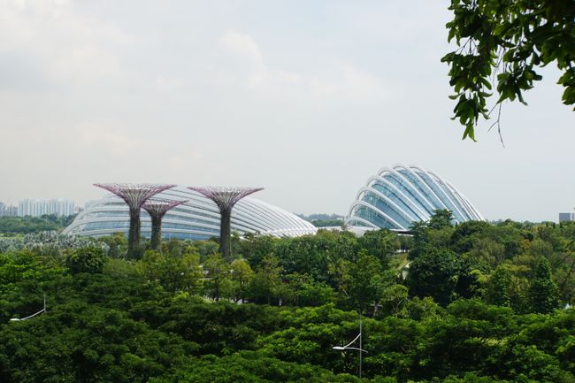 Angekommen in Singapur - die Löwenstadt