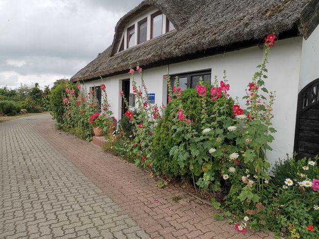 Una excursión a Moritzdorf