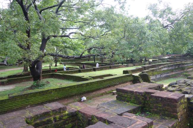 Polonnaruwa - Über 800 Jahre alte Tempelanlagen