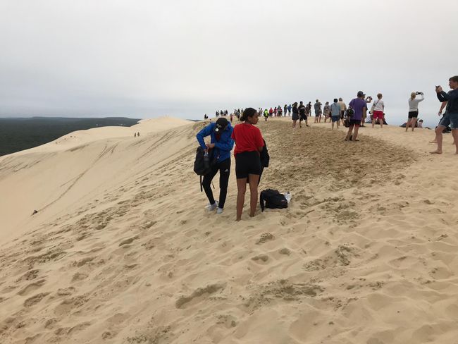 To the wandering dune