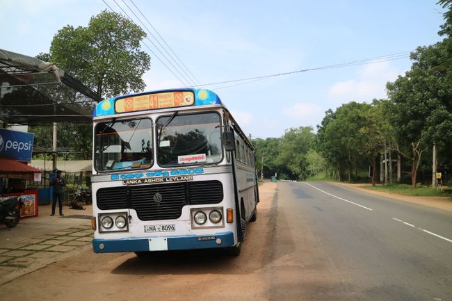 Bus to Polonnaruwa