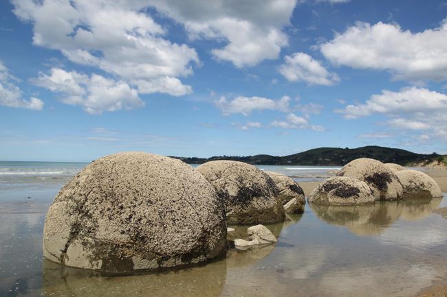 Neuseeland: unterwegs bei den Kiwis...