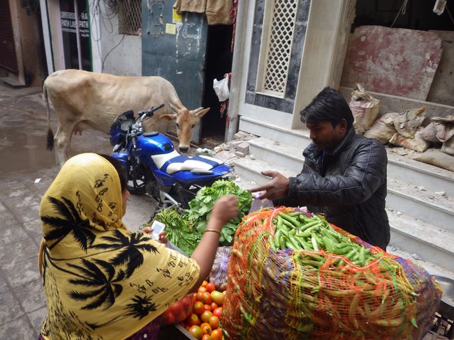 Vegetable purchase, Old Delhi