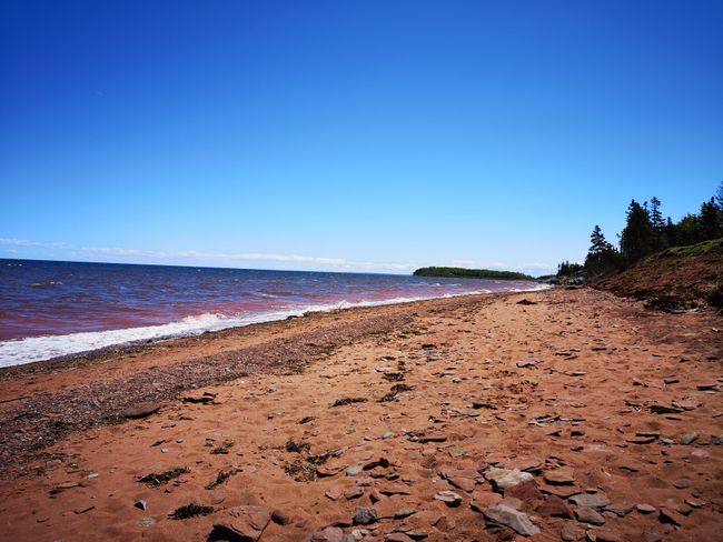 New Brunswick coastline