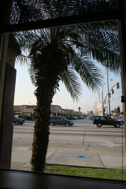 View from the Fast Food Restaurant