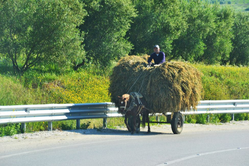 On the way to Elbasan; but this cart certainly doesn't go to the market.  