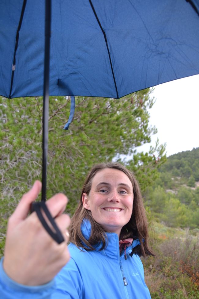 Umbrella holder for the camera in the rain
