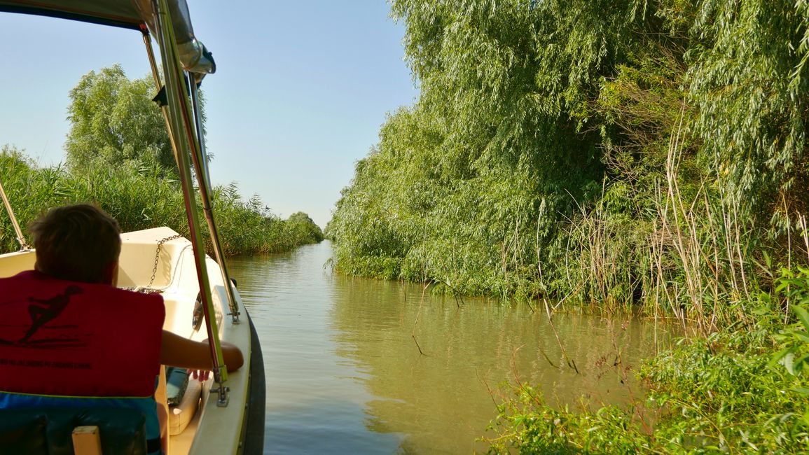 In the Danube Delta