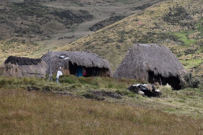 Bewohnte Hütten einer indigenen Familie