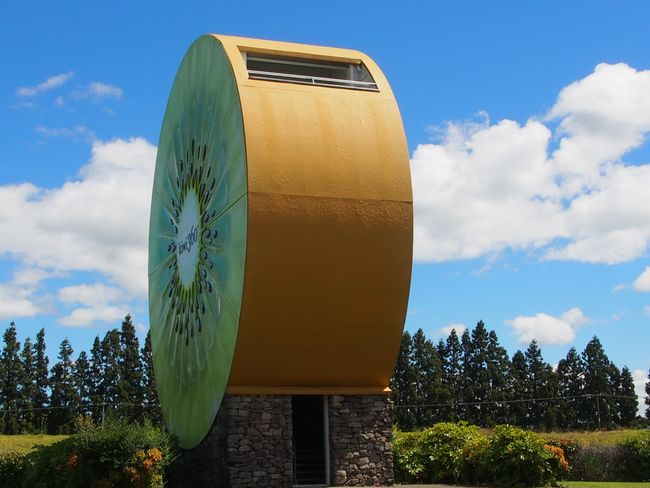 360° Kiwi