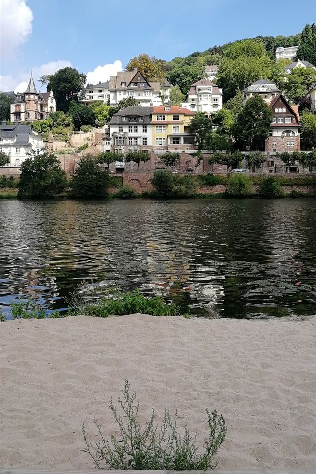 "Heidelberg Beach" at the Neckar 