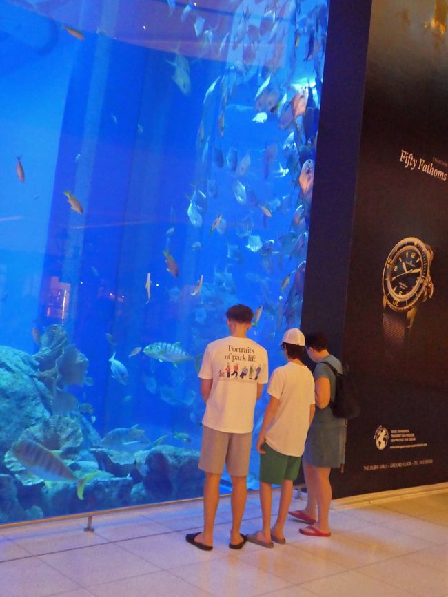 Aquarium in der Mall