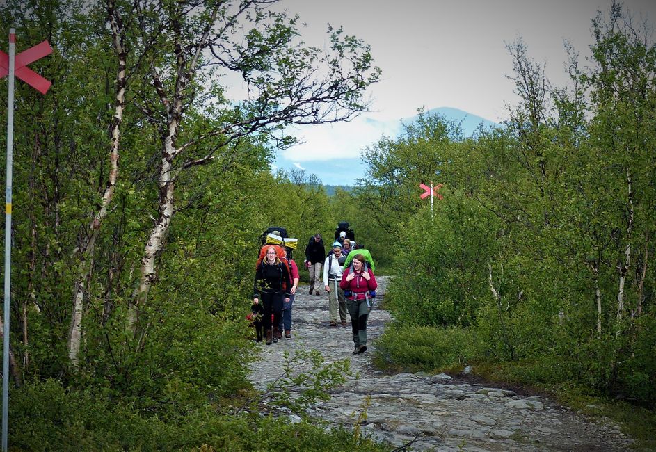 Fahrt nach Kiruna und Wandern auf dem Kungsleden