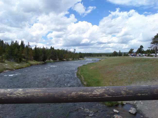Parco Nazionale Yellowstone