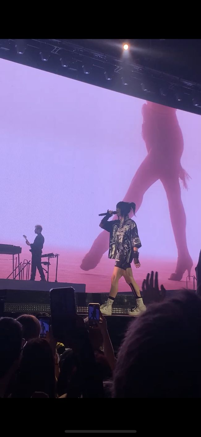 Billie und FINNEAS beim Konzert von Billie Eilish der Happier than Ever Tour 2022