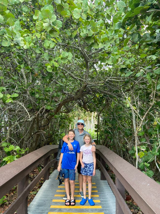 Zugang zum Strand duch einen Mangrovenwald