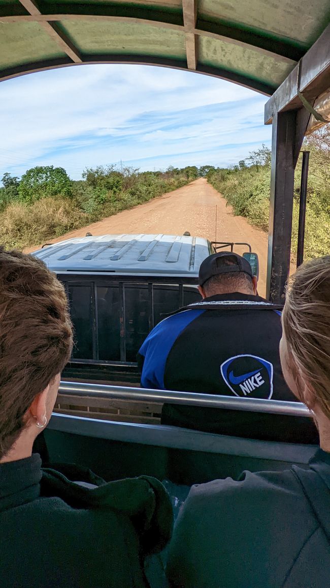 Aufenthalt im Süd Pantanal (Zusammenfassung)