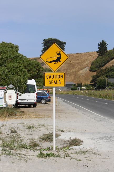 Caution Seals