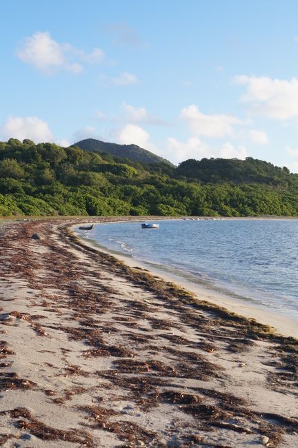 Spaziergang auf Carriacou