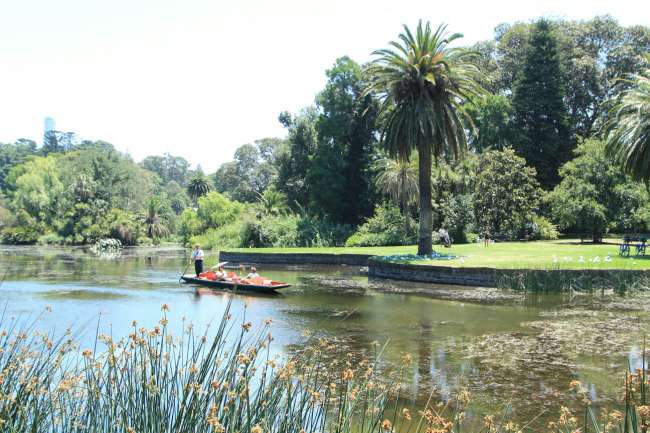 Royal botanic garden Melbourne