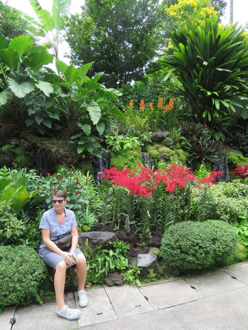 Orquídeas en el jardín botánico