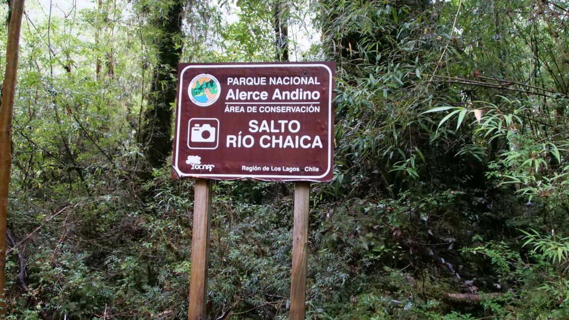 30.3.2023 - Alerce Andinon kansallispuisto / Chile