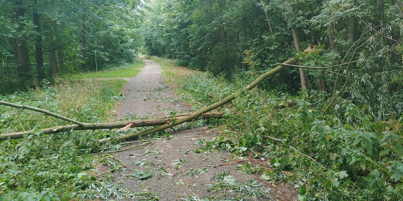 Hier darf das Rad getragen werden
