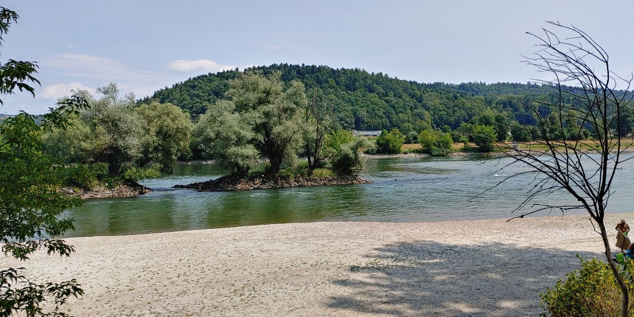 Isarmündung