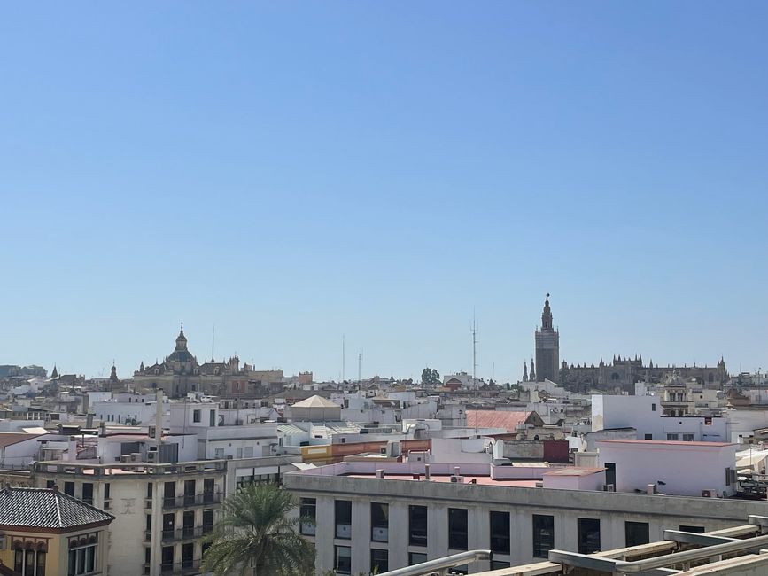Sevilla, teg 37