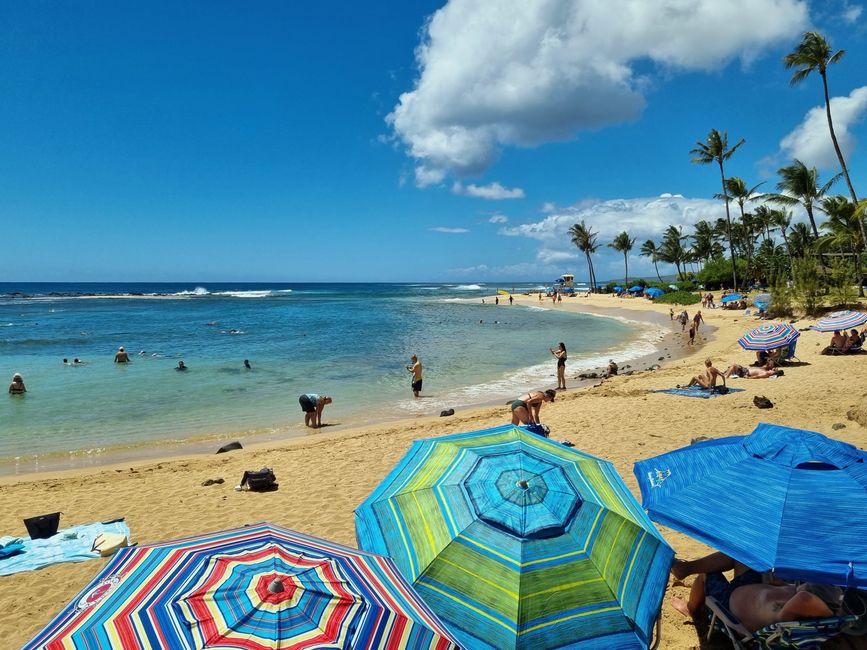 Hawaii 2022 - Teil 2: Kauai