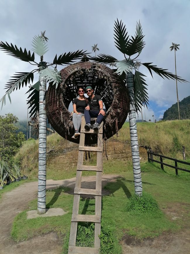 palm hut