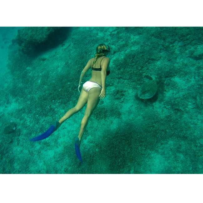 Snorkeling with a turtle