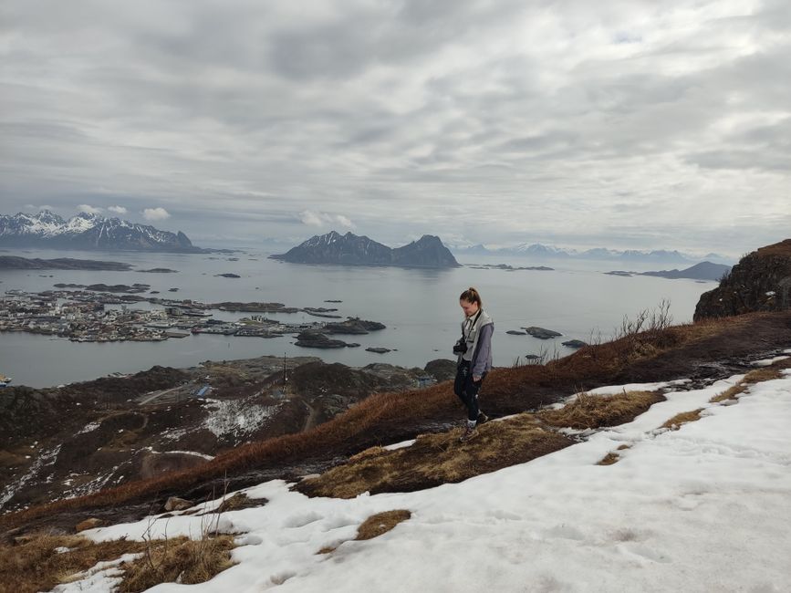 Svolvaer hike & Trollfjorden cruise