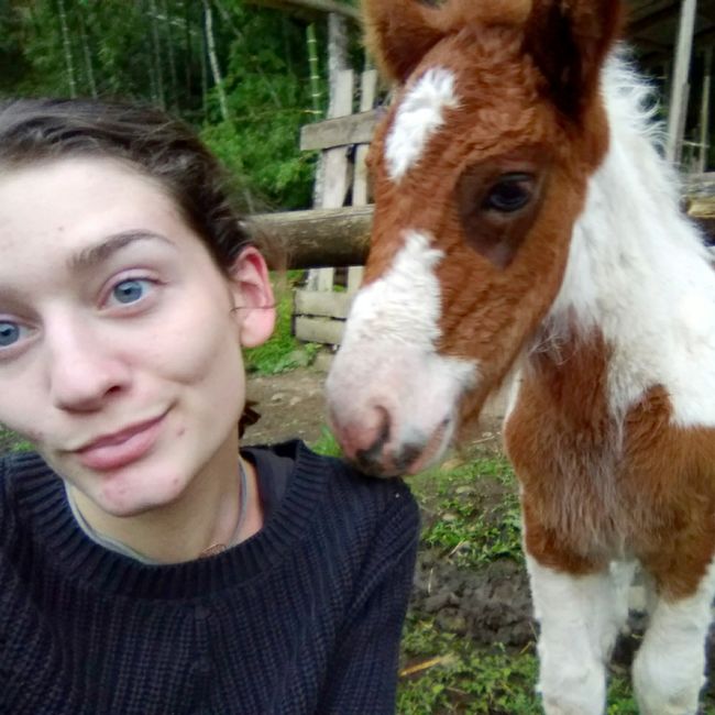 Foal selfie