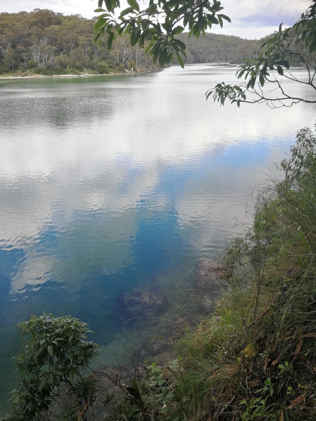 رودخانه فوق العاده شفاف پامبولا