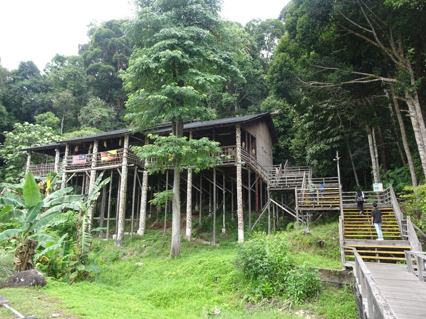 Malaysia: Borneo (Sarawak)