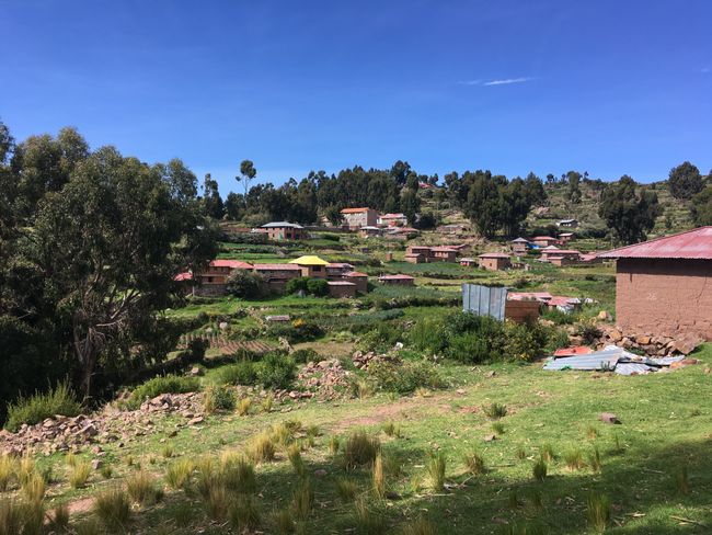 Woche 15 - Titicacasee