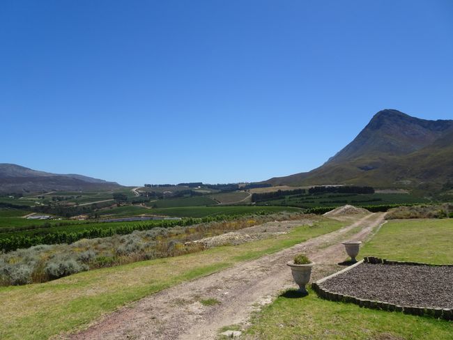 South African Road Trip II - Hermanus