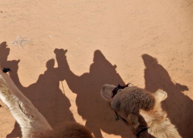 Let's go on the camel ride